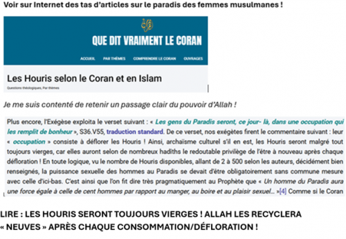 Coran islam Allah vierge.png
