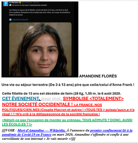 Amandine Florès !.png
