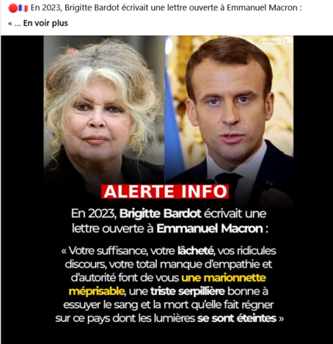 Le même macron vu par BB.png
