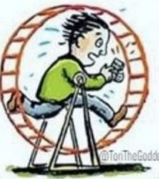 Boîte à écureuil.png