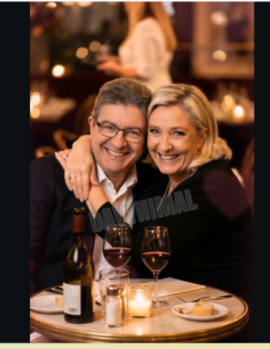 Mékenchon Le Pen.png