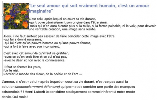 Laborit 072.png