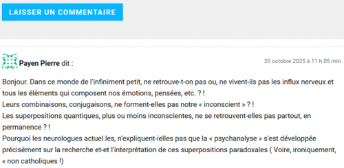 logique quantique,nous sommes quantiques,2005,2011,homo mercantilis,homo sapiens; humain,animal,1%,payen pierre